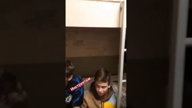 Чемпионат СФО г.Барнаул, сборная джиу-джитсу Омской области смотреть онлайн