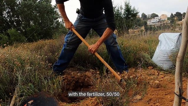 ?HOW to PLANT with Groasis WATERBOXX? Step by step (and how to lose your dog in the meantime)???♂️ смотреть онлайн