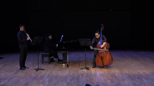 Bottesini Gran Duo for clarinet & Bass--Han Jianing, Chen Tong смотреть онлайн