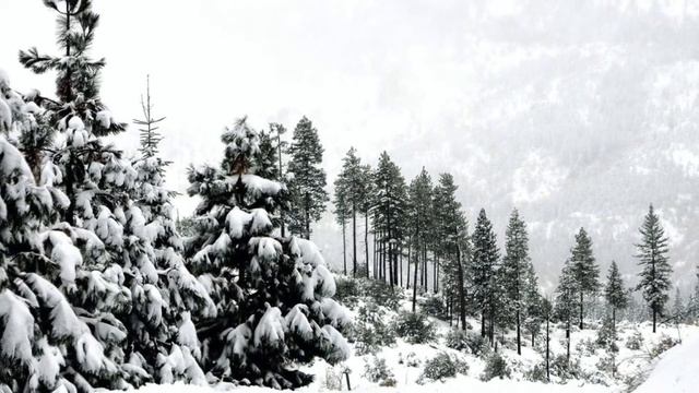 Павел Евграфов - «Ты опять от меня далека» смотреть онлайн