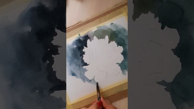 "Белый пион" рисуем акварелью смотреть онлайн