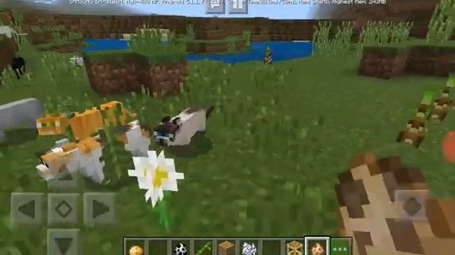 МАЙНКРАФТ ОБЗОР ВЕРСИИ МАЙНКРАФТ 1.8.0.8 смотреть онлайн