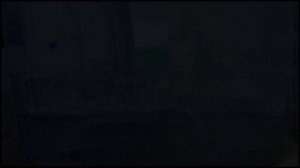 Какой из производителей топливных фильтров Bosch, MANN или Filtron?