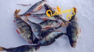 Ловля окуня в глухозимье на блесну, рыбалка в марте