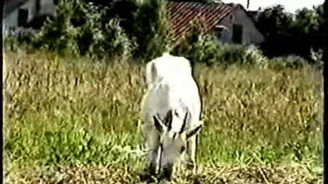 Фарфорка смотреть онлайн