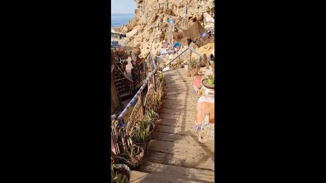 Фарша кафе это изюминка Шарм эль Шейха смотреть онлайн