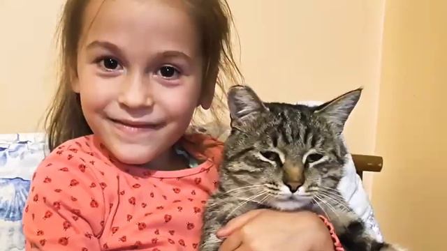 мой любимый кот смотреть онлайн