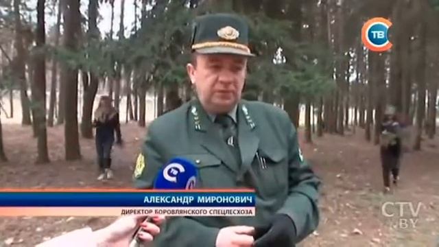 Заявки на конкурс проектов на создание мемориала в Куропатах будут принимать до 26 апреля смотреть онлайн