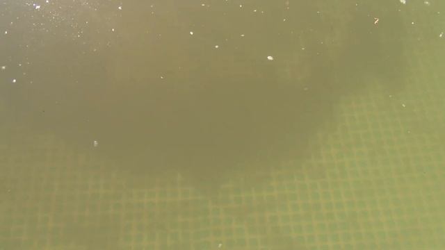 Установка бассейна заливка и очистка воды 2021 смотреть онлайн