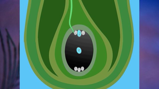 §20 "Половое размножение растений", Биология 6 класс, Сивоглазов смотреть онлайн