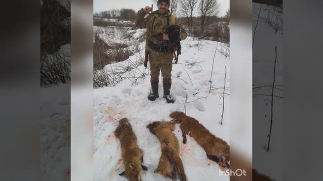 первый ягдтерьер пашка смотреть онлайн