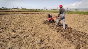 ДИЗЕЛЬНЫЙ  МОТОБЛОК ХОПЕР. // КАК ФРЕЗЕРОВАТЬ МОТОБЛОКОМ // ПАХАТЬ ФРЕЗАМИ