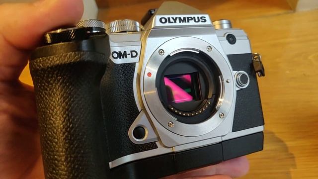 Olympus OM-D E-M5 Mark III - Continuous Shooting (Mechanical Shutter) смотреть онлайн