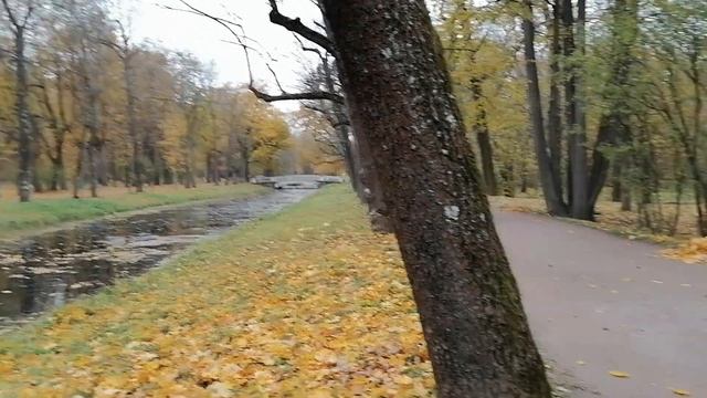 Пушкин (Царское Село). Александровский парк. 22.10.2023. смотреть онлайн
