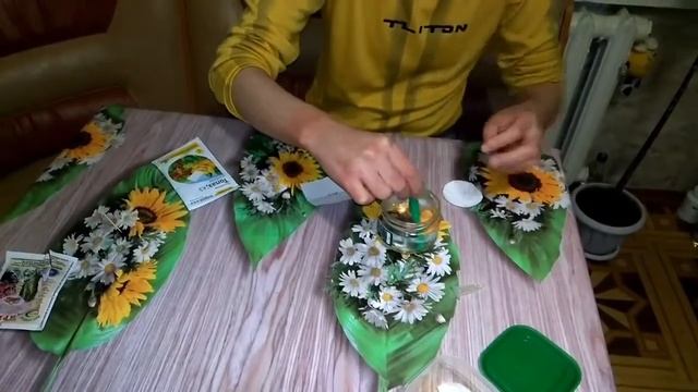 Посадка семян дионеи (венерина мухоловка) часть 1 смотреть онлайн