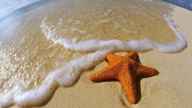 цените жизнь-любовь!!! трогает до слез смотреть онлайн
