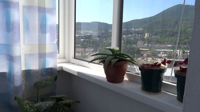 Квартира по улице Малышева 43 кв.м., 14 этаж, с видом на море в Лазаревском, Сочи смотреть онлайн
