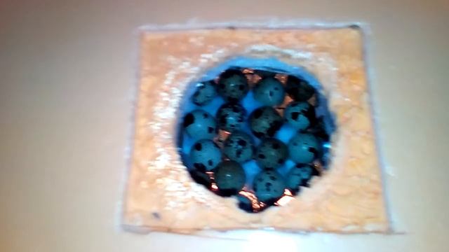 Инкубатор смотреть онлайн