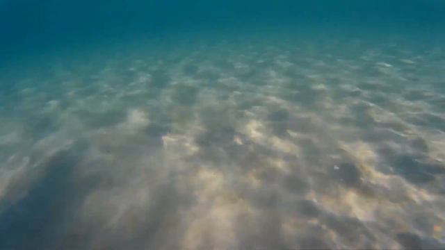 CRAB PEOPLE смотреть онлайн