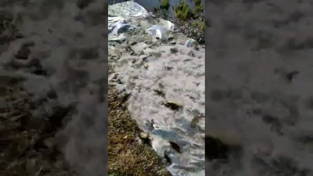 Зарыбление Карп - Сазан. 11 Мая 2022 смотреть онлайн