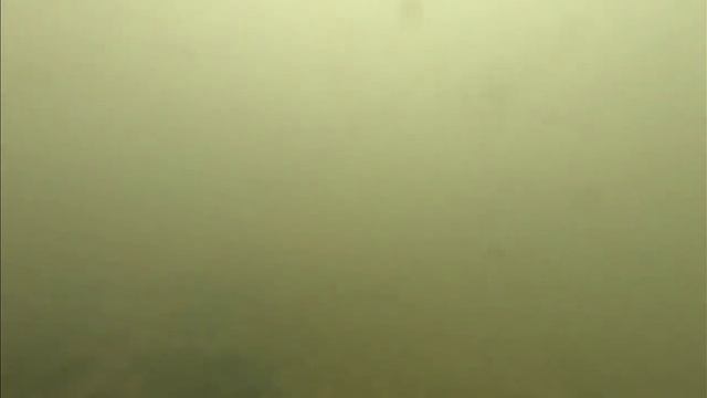 Реакция рыбы на прикормку с мелассой в ноябре смотреть онлайн