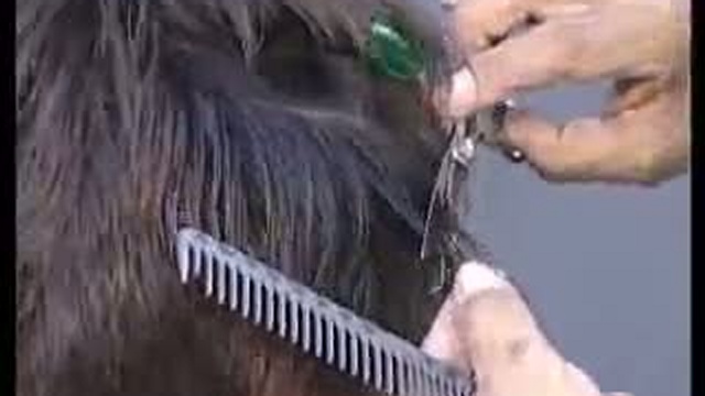 Ножницы GINKO. Техники стрижек