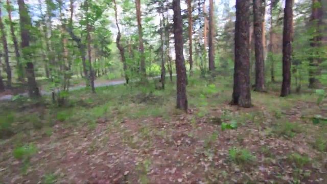 Природа Челябинского парка и детская железная дорога. 22 05 2022г смотреть онлайн
