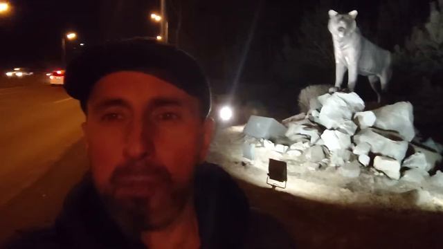 SONY Xperia XZ2 Video 1080p 30fps (ночь - фронтальная камера)