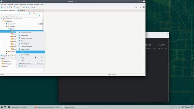 Run SQL Server Container with Docker смотреть онлайн