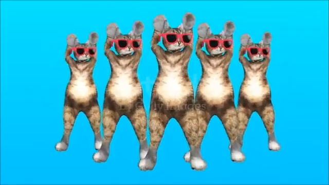 Банд Одесса # Зажигаем! Качается земля,# Вера и Геннадий Ковтун... смотреть онлайн