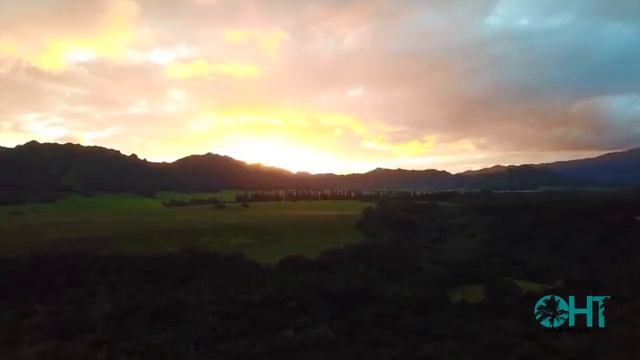 Ground tour of KAUAI | Slingshot review | KAUAI HAWAII Travel Tips смотреть онлайн