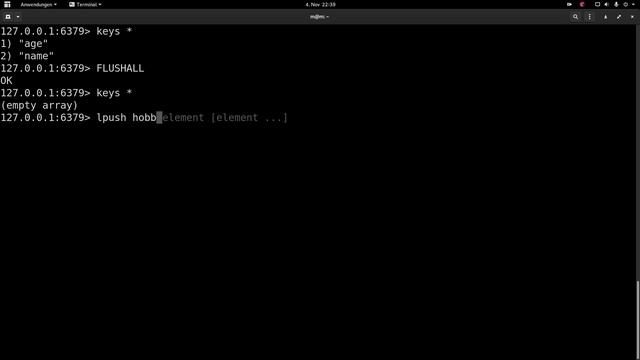 REDIS IN 25 MINUTEN LERNEN [Full-HD] [GER] Redis Crashkurs смотреть онлайн