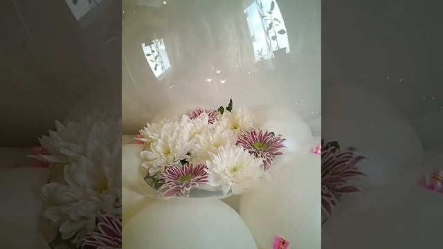 Живые цветы внутри прозрачного шара. смотреть онлайн