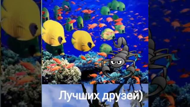 Всего Доброго!! смотреть онлайн