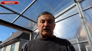 Начинающему перепеловоду – Помещение для перепелов