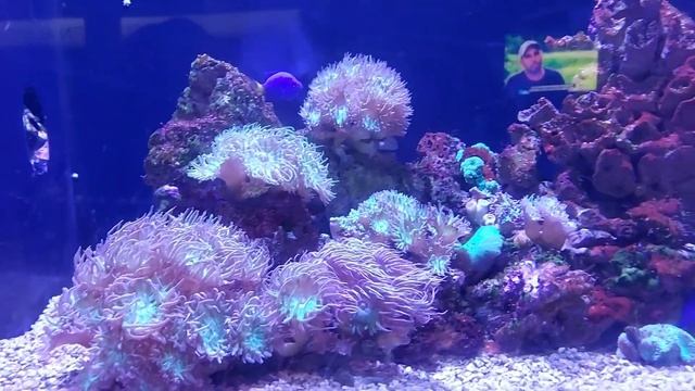 DALLAS WORLD AQUARIUM TOUR 2022~TOUR VLOG DALLAS TEXAS WORLD AQUARIUM#aquarium #tour#dailyvlog#vlog