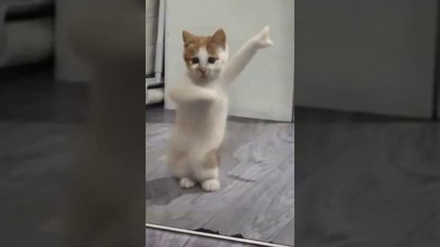 VID-20240305-WA0017.mp4 смотреть онлайн