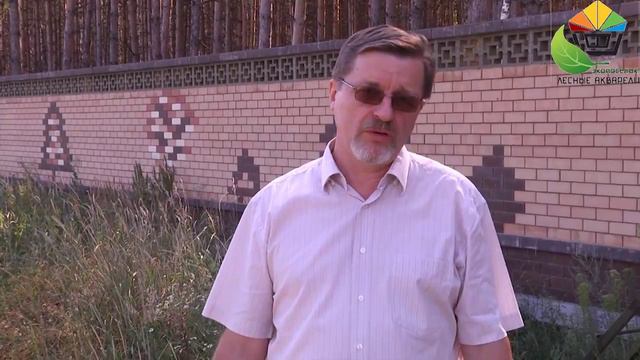 Дача в экопоселке Лесные Акварели смотреть онлайн