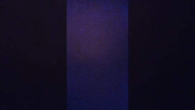 Tha Boss - Wait 4 U смотреть онлайн