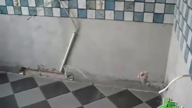 Ремонт кухни в процессе смотреть онлайн