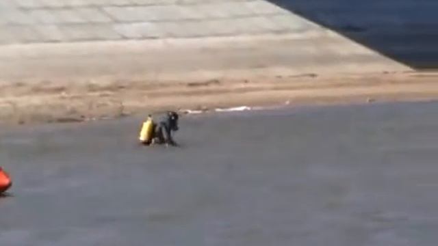Видео отчет МЕЖДУНАРОДНЫЕ УЧЕНИЯ 03 2014г ВОСВОД смотреть онлайн