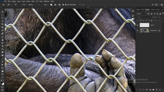 Content Aware Fill how to work in Photoshop Tamil смотреть онлайн