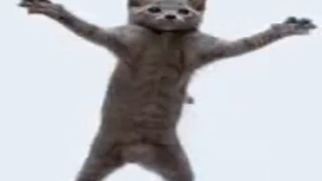 танцующие коты.exe смотреть онлайн