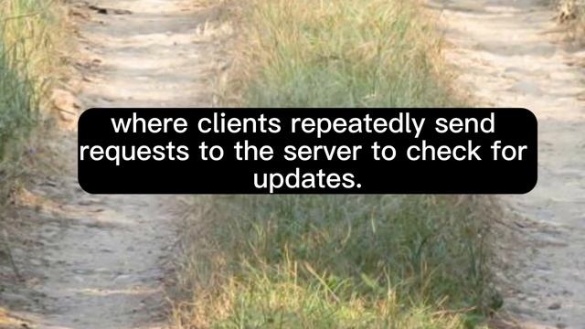 What are WebSockets in Programming? смотреть онлайн