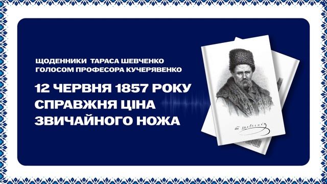Перша серія подкасту «Щоденника Шевченко». Микола Кучерявенко смотреть онлайн