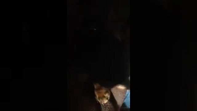 Frank has the hiccups смотреть онлайн