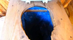 ЗА 5 МИНУТ, ЛЕГКО И  БЫСТРО, ПОЧИСТИЛА ДАЧНЫЙ ТУАЛЕТ. ЧТО Я ПРИДУМАЛА. МИНИ СЕПТИК ДЛЯ ТУАЛЕТА.