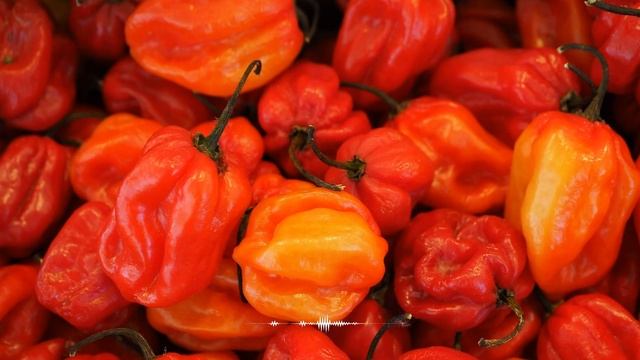 Пять Продуктов Снижающие Давление смотреть онлайн