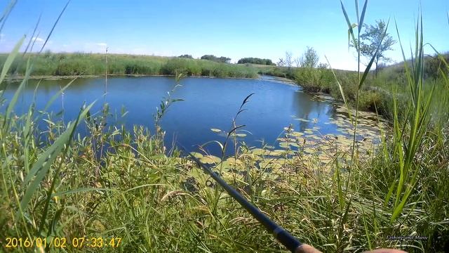 На старые места за голавлем, карасем и хищником! Пересохшая речка и первая в этом году щука! смотреть онлайн