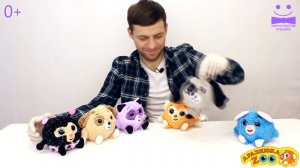 Обзор Дразнюка ZOO